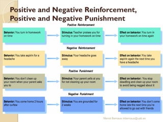 Mercè Bernaus mbernaus@uab.es
 