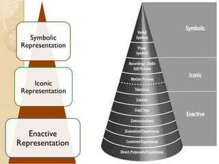 Mercè Bernaus mbernaus@uab.es
 