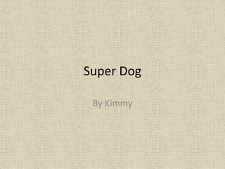 Super Dog
By Kimmy
 