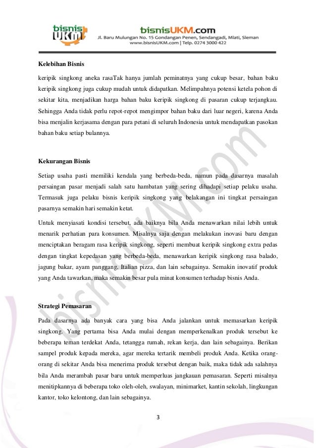 Business plan keripik singkong 02 picture