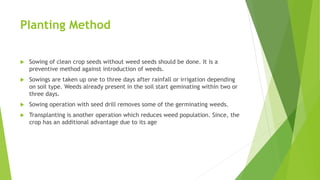 PIanting Method
 Sowing of clean crop seeds without weed seeds should be done. It is a
preventive method against introduction of weeds.
 Sowings are taken up one to three days after rainfall or irrigation depending
on soil type. Weeds already present in the soil start geminating within two or
three days.
 Sowing operation with seed drill removes some of the germinating weeds.
 Transplanting is another operation which reduces weed population. Since, the
crop has an additional advantage due to its age
 