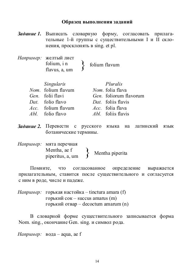 Рецепты На Латинском Языке С Переводом По Фармакологии