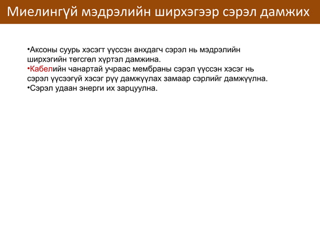 сэрэмтгий эсийн физиологи | PPT