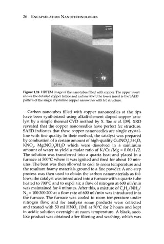 Encapsulation Nanotechnologies Vikas Mittal | PDF