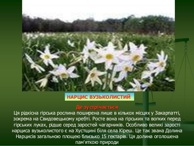 Червона книга України Рослинний світ
