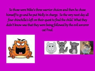 So those were Mike’s three warrior choices and then he chose
himself to go and he put Molly in charge. So the very next day all
four chinchilla’s left on their quest to find the child. What they
didn’t knowwas that they were being followed by the evil sorcerer
cat Fred.
 