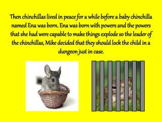 Then chinchillas livedin peace for a whilebefore a baby chinchilla
namedEna wasborn. Ena was born with powers and the powers
that she had were capable to make things explode so theleader of
the chinchillas, Mike decided that they should lock the childin a
dungeon just in case.
 