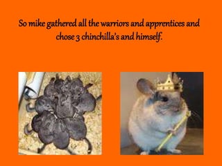 So mike gathered all the warriors and apprentices and
chose 3 chinchilla’s andhimself.
 