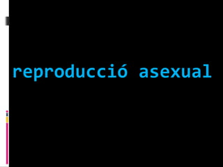 reproducció.asexual
 