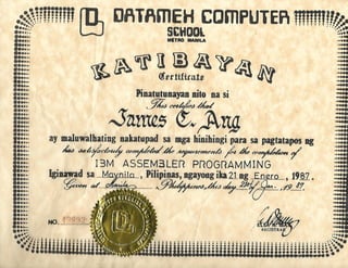 Datamex Diploma 1987
