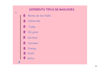 DIFERENTS TIPUS DE MADUIXES

Reina de les Valls
Camarosa

Tudla

Ós gran

Cartuno

Carisma

Irwing
Ocell
Selva

                               20
 