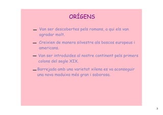 ORÍGENS

 Van ser descobertes pels romans, a qui els van
 agradar molt.

Creixien de manera silvestre als boscos europeus i
americans.
Van ser introduïdes al nostre continent pels primers
colons del segle XIX.

Barrejada amb una varietat xilena es va aconseguir
una nova maduixa més gran i saborosa.




                                                       3
 