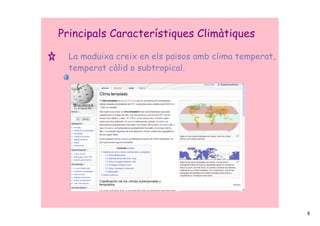 Principals Característiques Climàtiques

  La maduixa creix en els països amb clima temperat,
  temperat càlid o subtropical.




                                                       6
 