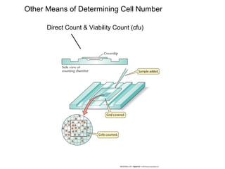 Other Means of Determining Cell Number
Direct Count & Viability Count (cfu)
 