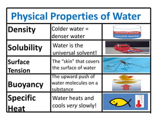 Physical Properties of Water
Density      Colder water =
             denser water
Solubility   Water is the
             universal solvent!
Surface      The “skin” that covers
             the surface of water
Tension
             The upward push of
Buoyancy     water molecules on a
             substance
Specific     Water heats and
             cools very slowly!
Heat
 