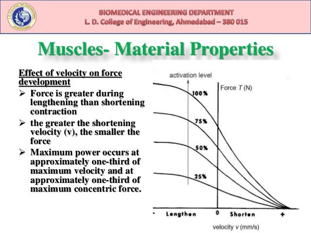 download the berenstain bears get