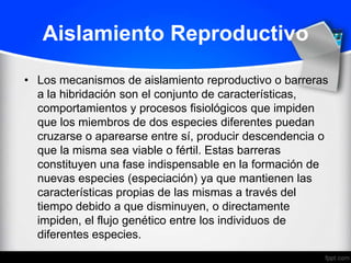 Aislamiento Reproductivo

• Los mecanismos de aislamiento reproductivo o barreras
  a la hibridación son el conjunto de características,
  comportamientos y procesos fisiológicos que impiden
  que los miembros de dos especies diferentes puedan
  cruzarse o aparearse entre sí, producir descendencia o
  que la misma sea viable o fértil. Estas barreras
  constituyen una fase indispensable en la formación de
  nuevas especies (especiación) ya que mantienen las
  características propias de las mismas a través del
  tiempo debido a que disminuyen, o directamente
  impiden, el flujo genético entre los individuos de
  diferentes especies.
 