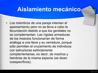 Aislamiento mecánico

• Los miembros de una pareja intentan el
  apareamiento pero no se lleva a cabo la
  fecundación debido a que los genitales no
  se complementan. Las rígidas armaduras
  de los insectos funcionarían de forma
  análoga a una llave y su cerradura, porque
  sólo permiten el cruzamiento de individuos
  con estructuras estrictamente
  complementarias, es decir, de machos y
  hembras de la misma especie (se dicen
  coespecíficos).
 