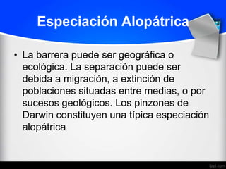 Especiación Alopátrica

• La barrera puede ser geográfica o
  ecológica. La separación puede ser
  debida a migración, a extinción de
  poblaciones situadas entre medias, o por
  sucesos geológicos. Los pinzones de
  Darwin constituyen una típica especiación
  alopátrica
 