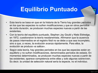 Equilibrio Puntuado

•   Esta teoría se basa en que en la historia de la Tierra hay grandes períodos
    en los que las especies no sufren modificaciones y que en otros períodos
    de corta duración, se producen muchas especies nuevas a partir de las
    existentes.
•   Con la teoría del equilibrio puntuado, Stephen Jay Gould y Niels Eldredge,
    en 1972, cuestionaron la teoría neodarwinista. Afirmaron que la ausencia
    de pasos intermedios en el registro fósil no se debe a que sea incompleto,
    sino a que, a veces, la evolución avanza rápidamente. Para ellos, la
    evolución se produce «a saltos».
•   Según esta teoría, hay grandes períodos en los que las especies están en
    equilibrio y no sufren modificaciones, denominados períodos de estasis. En
    momentos determinados, se producen muchas especies nuevas a partir de
    las existentes; aparece competencia entre ellas y solo algunas sobreviven.
    Es decir, la unidad de selección natural sería la especie, no el individuo.
 