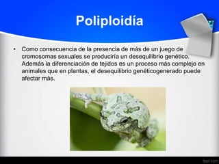 Poliploidía
• Como consecuencia de la presencia de más de un juego de
  cromosomas sexuales se produciría un desequilibrio genético.
  Además la diferenciación de tejidos es un proceso más complejo en
  animales que en plantas, el desequilibrio genéticogenerado puede
  afectar más.
 