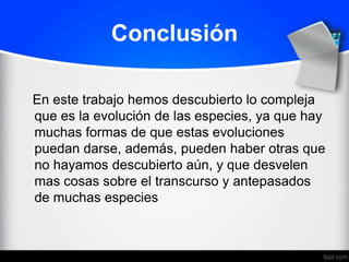 Conclusión

En este trabajo hemos descubierto lo compleja
que es la evolución de las especies, ya que hay
muchas formas de que estas evoluciones
puedan darse, además, pueden haber otras que
no hayamos descubierto aún, y que desvelen
mas cosas sobre el transcurso y antepasados
de muchas especies
 