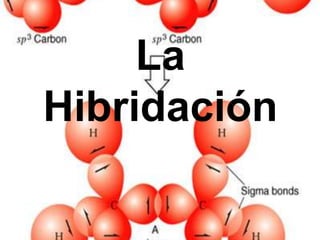 La
Hibridación
 