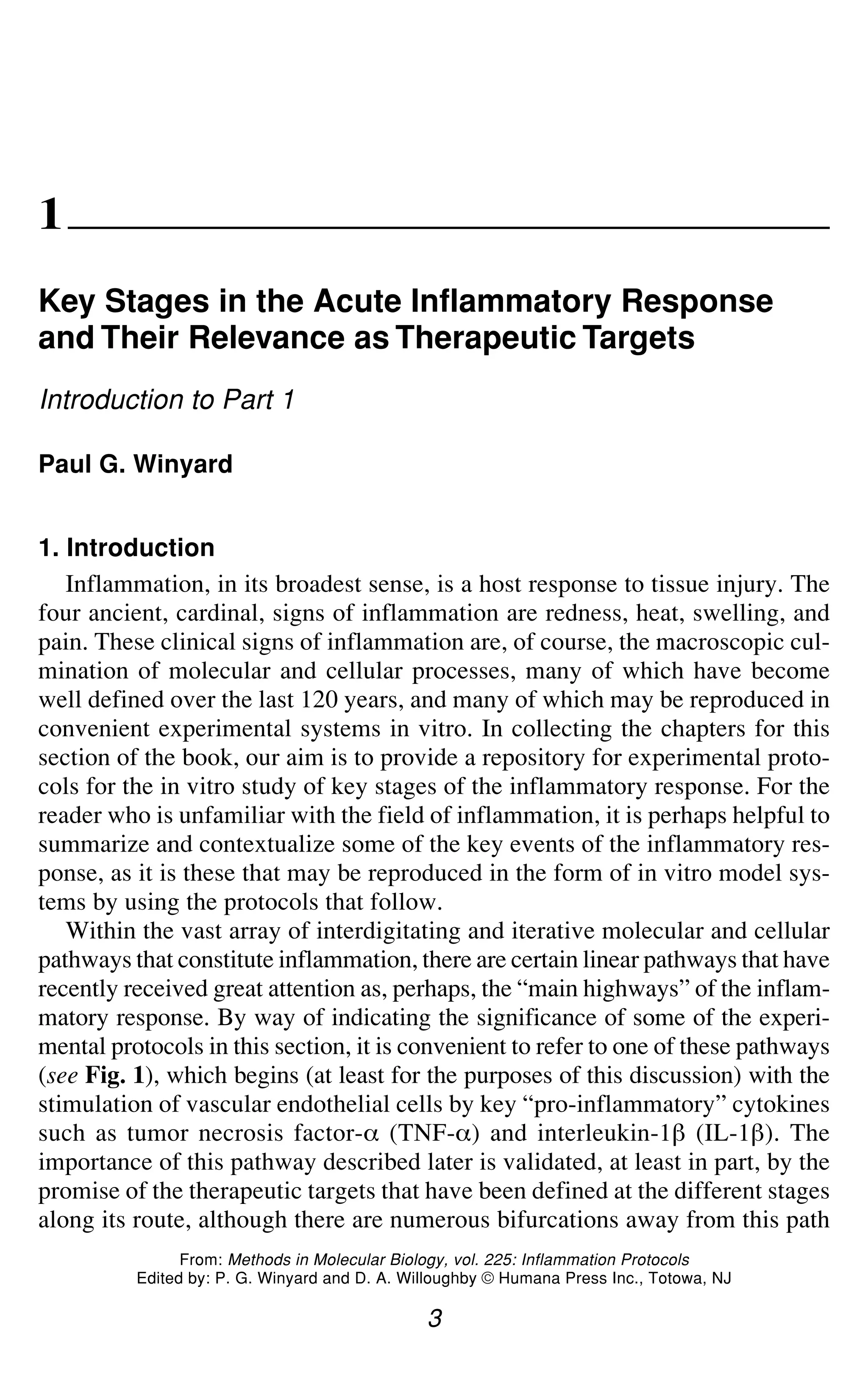 Key Stages in the Acute Inflammatory Response 3
1
Key Stages in the Acute Inflammatory Response
and Their Relevance as Therapeutic Targets
Introduction to Part 1
Paul G. Winyard
1. Introduction
Inflammation, in its broadest sense, is a host response to tissue injury. The
four ancient, cardinal, signs of inflammation are redness, heat, swelling, and
pain. These clinical signs of inflammation are, of course, the macroscopic cul-
mination of molecular and cellular processes, many of which have become
well defined over the last 120 years, and many of which may be reproduced in
convenient experimental systems in vitro. In collecting the chapters for this
section of the book, our aim is to provide a repository for experimental proto-
cols for the in vitro study of key stages of the inflammatory response. For the
reader who is unfamiliar with the field of inflammation, it is perhaps helpful to
summarize and contextualize some of the key events of the inflammatory res-
ponse, as it is these that may be reproduced in the form of in vitro model sys-
tems by using the protocols that follow.
Within the vast array of interdigitating and iterative molecular and cellular
pathways that constitute inflammation, there are certain linear pathways that have
recently received great attention as, perhaps, the “main highways” of the inflam-
matory response. By way of indicating the significance of some of the experi-
mental protocols in this section, it is convenient to refer to one of these pathways
(see Fig. 1), which begins (at least for the purposes of this discussion) with the
stimulation of vascular endothelial cells by key “pro-inflammatory” cytokines
such as tumor necrosis factor-_ (TNF-_) and interleukin-1` (IL-1`). The
importance of this pathway described later is validated, at least in part, by the
promise of the therapeutic targets that have been defined at the different stages
along its route, although there are numerous bifurcations away from this path
3
From: Methods in Molecular Biology, vol. 225: Inflammation Protocols
Edited by: P. G. Winyard and D. A. Willoughby © Humana Press Inc., Totowa, NJ
 