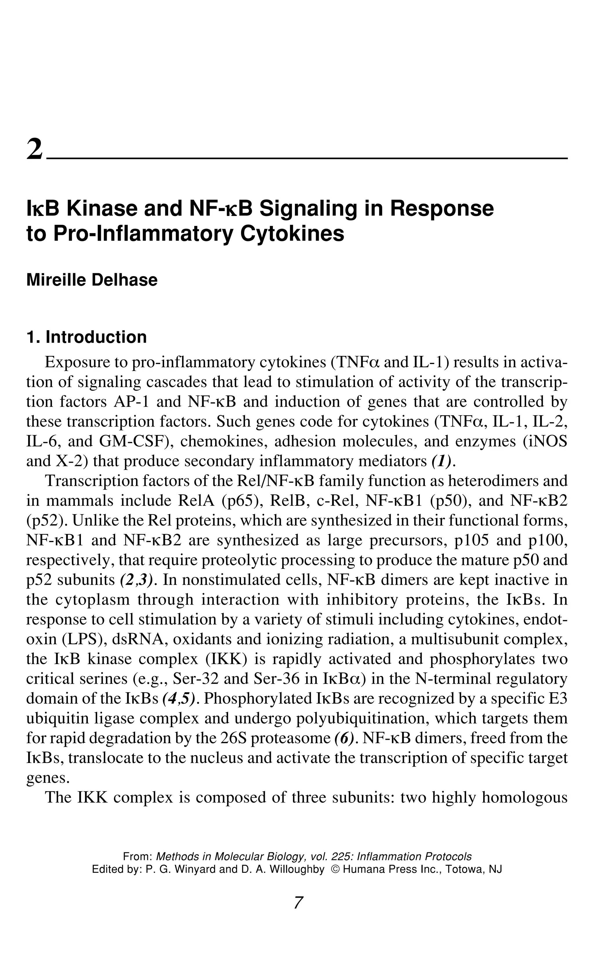 IgB Kinase and NF-gB Signaling 7
2
Ig
g
g
g
gB Kinase and NF-g
g
g
g
gB Signaling in Response
to Pro-Inflammatory Cytokines
Mireille Delhase
1. Introduction
Exposure to pro-inflammatory cytokines (TNF_ and IL-1) results in activa-
tion of signaling cascades that lead to stimulation of activity of the transcrip-
tion factors AP-1 and NF-gB and induction of genes that are controlled by
these transcription factors. Such genes code for cytokines (TNF_, IL-1, IL-2,
IL-6, and GM-CSF), chemokines, adhesion molecules, and enzymes (iNOS
and X-2) that produce secondary inflammatory mediators (1).
Transcription factors of the Rel/NF-gB family function as heterodimers and
in mammals include RelA (p65), RelB, c-Rel, NF-gB1 (p50), and NF-gB2
(p52). Unlike the Rel proteins, which are synthesized in their functional forms,
NF-gB1 and NF-gB2 are synthesized as large precursors, p105 and p100,
respectively, that require proteolytic processing to produce the mature p50 and
p52 subunits (2,3). In nonstimulated cells, NF-gB dimers are kept inactive in
the cytoplasm through interaction with inhibitory proteins, the IgBs. In
response to cell stimulation by a variety of stimuli including cytokines, endot-
oxin (LPS), dsRNA, oxidants and ionizing radiation, a multisubunit complex,
the IgB kinase complex (IKK) is rapidly activated and phosphorylates two
critical serines (e.g., Ser-32 and Ser-36 in IgB_) in the N-terminal regulatory
domain of the IgBs (4,5). Phosphorylated IgBs are recognized by a specific E3
ubiquitin ligase complex and undergo polyubiquitination, which targets them
for rapid degradation by the 26S proteasome (6). NF-gB dimers, freed from the
IgBs, translocate to the nucleus and activate the transcription of specific target
genes.
The IKK complex is composed of three subunits: two highly homologous
7
From: Methods in Molecular Biology, vol. 225: Inflammation Protocols
Edited by: P. G. Winyard and D. A. Willoughby © Humana Press Inc., Totowa, NJ
 