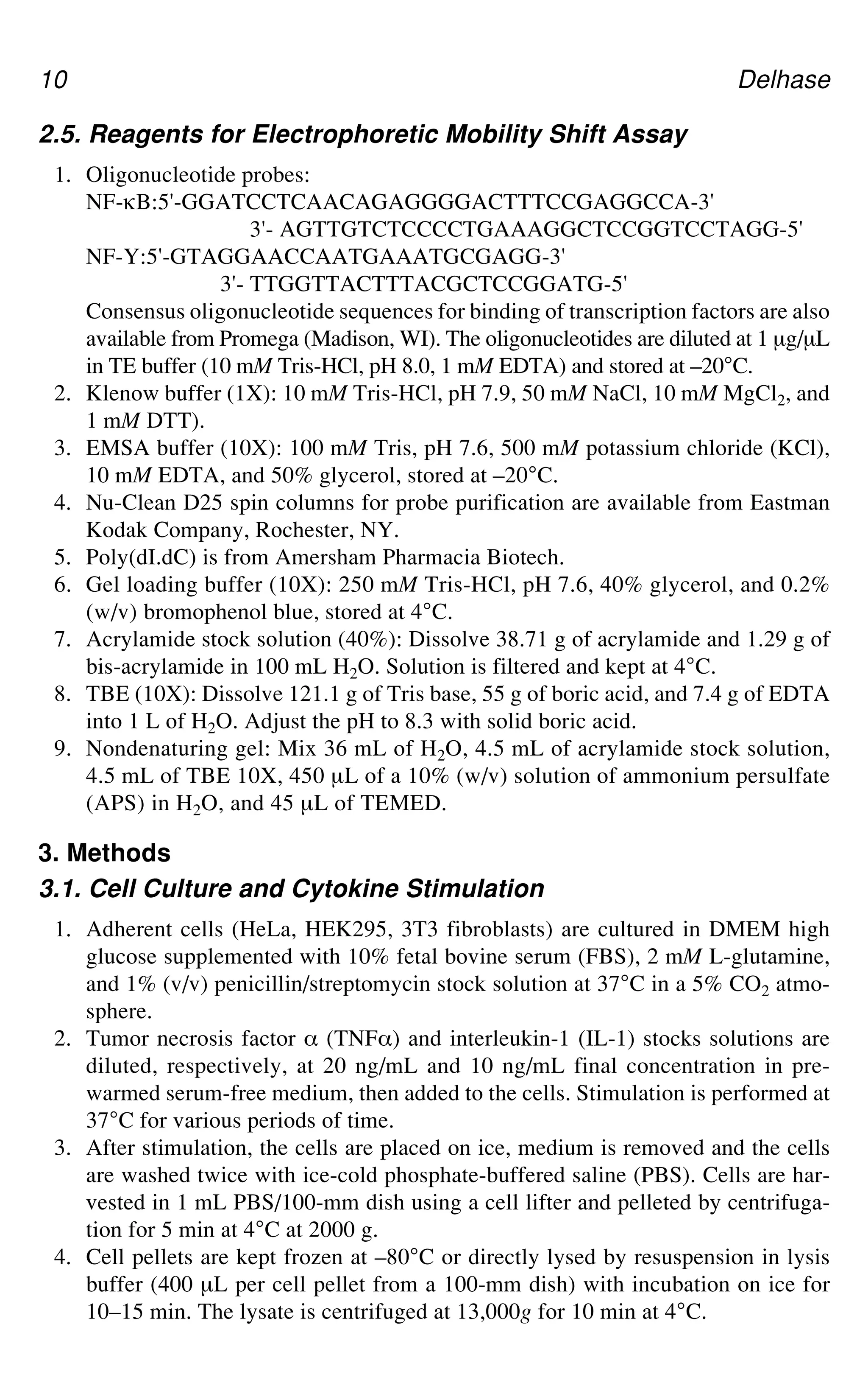 10 Delhase
2.5. Reagents for Electrophoretic Mobility Shift Assay
1. Oligonucleotide probes:
NF-gB:5'-GGATCCTCAACAGAGGGGACTTTCCGAGGCCA-3'
3'- AGTTGTCTCCCCTGAAAGGCTCCGGTCCTAGG-5'
NF-Y:5'-GTAGGAACCAATGAAATGCGAGG-3'
3'- TTGGTTACTTTACGCTCCGGATG-5'
Consensus oligonucleotide sequences for binding of transcription factors are also
available from Promega (Madison, WI). The oligonucleotides are diluted at 1 μg/μL
in TE buffer (10 mM Tris-HCl, pH 8.0, 1 mM EDTA) and stored at –20°C.
2. Klenow buffer (1X): 10 mM Tris-HCl, pH 7.9, 50 mM NaCl, 10 mM MgCl2, and
1 mM DTT).
3. EMSA buffer (10X): 100 mM Tris, pH 7.6, 500 mM potassium chloride (KCl),
10 mM EDTA, and 50% glycerol, stored at –20°C.
4. Nu-Clean D25 spin columns for probe purification are available from Eastman
Kodak Company, Rochester, NY.
5. Poly(dI.dC) is from Amersham Pharmacia Biotech.
6. Gel loading buffer (10X): 250 mM Tris-HCl, pH 7.6, 40% glycerol, and 0.2%
(w/v) bromophenol blue, stored at 4°C.
7. Acrylamide stock solution (40%): Dissolve 38.71 g of acrylamide and 1.29 g of
bis-acrylamide in 100 mL H2O. Solution is filtered and kept at 4°C.
8. TBE (10X): Dissolve 121.1 g of Tris base, 55 g of boric acid, and 7.4 g of EDTA
into 1 L of H2O. Adjust the pH to 8.3 with solid boric acid.
9. Nondenaturing gel: Mix 36 mL of H2O, 4.5 mL of acrylamide stock solution,
4.5 mL of TBE 10X, 450 μL of a 10% (w/v) solution of ammonium persulfate
(APS) in H2O, and 45 μL of TEMED.
3. Methods
3.1. Cell Culture and Cytokine Stimulation
1. Adherent cells (HeLa, HEK295, 3T3 fibroblasts) are cultured in DMEM high
glucose supplemented with 10% fetal bovine serum (FBS), 2 mM L-glutamine,
and 1% (v/v) penicillin/streptomycin stock solution at 37°C in a 5% CO2 atmo-
sphere.
2. Tumor necrosis factor _ (TNF_) and interleukin-1 (IL-1) stocks solutions are
diluted, respectively, at 20 ng/mL and 10 ng/mL final concentration in pre-
warmed serum-free medium, then added to the cells. Stimulation is performed at
37°C for various periods of time.
3. After stimulation, the cells are placed on ice, medium is removed and the cells
are washed twice with ice-cold phosphate-buffered saline (PBS). Cells are har-
vested in 1 mL PBS/100-mm dish using a cell lifter and pelleted by centrifuga-
tion for 5 min at 4°C at 2000 g.
4. Cell pellets are kept frozen at –80°C or directly lysed by resuspension in lysis
buffer (400 μL per cell pellet from a 100-mm dish) with incubation on ice for
10–15 min. The lysate is centrifuged at 13,000g for 10 min at 4°C.
 