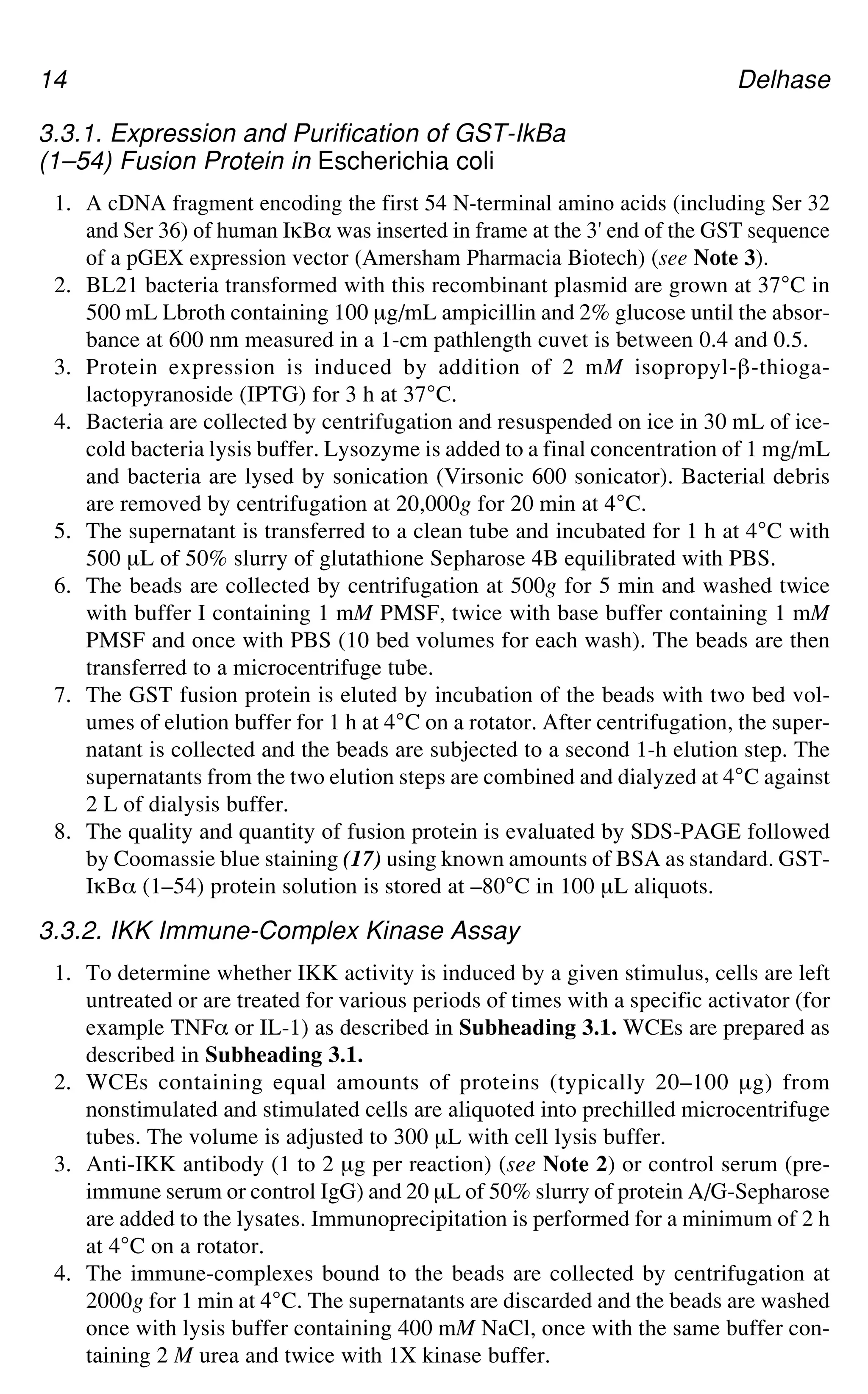 14 Delhase
3.3.1. Expression and Purification of GST-IkBa
(1–54) Fusion Protein in Escherichia coli
1. A cDNA fragment encoding the first 54 N-terminal amino acids (including Ser 32
and Ser 36) of human IgB_ was inserted in frame at the 3' end of the GST sequence
of a pGEX expression vector (Amersham Pharmacia Biotech) (see Note 3).
2. BL21 bacteria transformed with this recombinant plasmid are grown at 37°C in
500 mL Lbroth containing 100 μg/mL ampicillin and 2% glucose until the absor-
bance at 600 nm measured in a 1-cm pathlength cuvet is between 0.4 and 0.5.
3. Protein expression is induced by addition of 2 mM isopropyl-`-thioga-
lactopyranoside (IPTG) for 3 h at 37°C.
4. Bacteria are collected by centrifugation and resuspended on ice in 30 mL of ice-
cold bacteria lysis buffer. Lysozyme is added to a final concentration of 1 mg/mL
and bacteria are lysed by sonication (Virsonic 600 sonicator). Bacterial debris
are removed by centrifugation at 20,000g for 20 min at 4°C.
5. The supernatant is transferred to a clean tube and incubated for 1 h at 4°C with
500 μL of 50% slurry of glutathione Sepharose 4B equilibrated with PBS.
6. The beads are collected by centrifugation at 500g for 5 min and washed twice
with buffer I containing 1 mM PMSF, twice with base buffer containing 1 mM
PMSF and once with PBS (10 bed volumes for each wash). The beads are then
transferred to a microcentrifuge tube.
7. The GST fusion protein is eluted by incubation of the beads with two bed vol-
umes of elution buffer for 1 h at 4°C on a rotator. After centrifugation, the super-
natant is collected and the beads are subjected to a second 1-h elution step. The
supernatants from the two elution steps are combined and dialyzed at 4°C against
2 L of dialysis buffer.
8. The quality and quantity of fusion protein is evaluated by SDS-PAGE followed
by Coomassie blue staining (17) using known amounts of BSA as standard. GST-
IgB_ (1–54) protein solution is stored at –80°C in 100 μL aliquots.
3.3.2. IKK Immune-Complex Kinase Assay
1. To determine whether IKK activity is induced by a given stimulus, cells are left
untreated or are treated for various periods of times with a specific activator (for
example TNF_ or IL-1) as described in Subheading 3.1. WCEs are prepared as
described in Subheading 3.1.
2. WCEs containing equal amounts of proteins (typically 20–100 μg) from
nonstimulated and stimulated cells are aliquoted into prechilled microcentrifuge
tubes. The volume is adjusted to 300 μL with cell lysis buffer.
3. Anti-IKK antibody (1 to 2 μg per reaction) (see Note 2) or control serum (pre-
immune serum or control IgG) and 20 μL of 50% slurry of protein A/G-Sepharose
are added to the lysates. Immunoprecipitation is performed for a minimum of 2 h
at 4°C on a rotator.
4. The immune-complexes bound to the beads are collected by centrifugation at
2000g for 1 min at 4°C. The supernatants are discarded and the beads are washed
once with lysis buffer containing 400 mM NaCl, once with the same buffer con-
taining 2 M urea and twice with 1X kinase buffer.
 