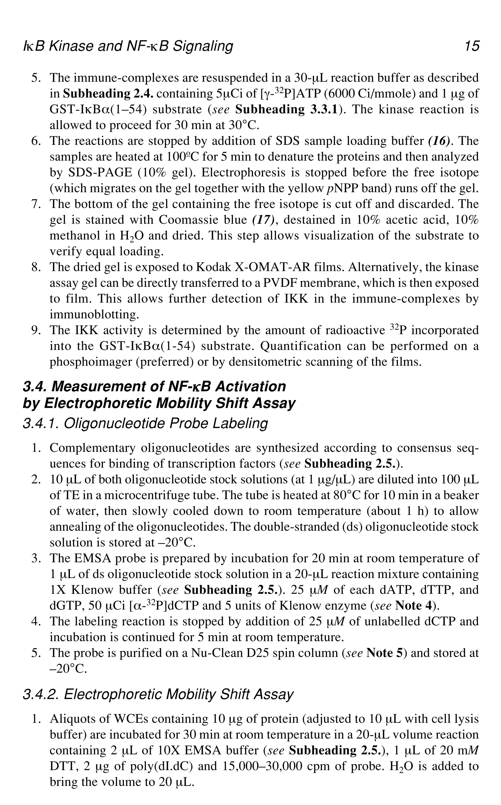 IgB Kinase and NF-gB Signaling 15
5. The immune-complexes are resuspended in a 30-μL reaction buffer as described
in Subheading 2.4. containing 5μCi of [a-32P]ATP (6000 Ci/mmole) and 1 μg of
GST-IgB_(1–54) substrate (see Subheading 3.3.1). The kinase reaction is
allowed to proceed for 30 min at 30°C.
6. The reactions are stopped by addition of SDS sample loading buffer (16). The
samples are heated at 100ºC for 5 min to denature the proteins and then analyzed
by SDS-PAGE (10% gel). Electrophoresis is stopped before the free isotope
(which migrates on the gel together with the yellow pNPP band) runs off the gel.
7. The bottom of the gel containing the free isotope is cut off and discarded. The
gel is stained with Coomassie blue (17), destained in 10% acetic acid, 10%
methanol in H2O and dried. This step allows visualization of the substrate to
verify equal loading.
8. The dried gel is exposed to Kodak X-OMAT-AR films. Alternatively, the kinase
assay gel can be directly transferred to a PVDF membrane, which is then exposed
to film. This allows further detection of IKK in the immune-complexes by
immunoblotting.
9. The IKK activity is determined by the amount of radioactive 32P incorporated
into the GST-IgB_(1-54) substrate. Quantification can be performed on a
phosphoimager (preferred) or by densitometric scanning of the films.
3.4. Measurement of NF-g
g
g
g
gB Activation
by Electrophoretic Mobility Shift Assay
3.4.1. Oligonucleotide Probe Labeling
1. Complementary oligonucleotides are synthesized according to consensus seq-
uences for binding of transcription factors (see Subheading 2.5.).
2. 10 μL of both oligonucleotide stock solutions (at 1 μg/μL) are diluted into 100 μL
of TE in a microcentrifuge tube. The tube is heated at 80°C for 10 min in a beaker
of water, then slowly cooled down to room temperature (about 1 h) to allow
annealing of the oligonucleotides. The double-stranded (ds) oligonucleotide stock
solution is stored at –20°C.
3. The EMSA probe is prepared by incubation for 20 min at room temperature of
1 μL of ds oligonucleotide stock solution in a 20-μL reaction mixture containing
1X Klenow buffer (see Subheading 2.5.). 25 μM of each dATP, dTTP, and
dGTP, 50 μCi [_-32P]dCTP and 5 units of Klenow enzyme (see Note 4).
4. The labeling reaction is stopped by addition of 25 μM of unlabelled dCTP and
incubation is continued for 5 min at room temperature.
5. The probe is purified on a Nu-Clean D25 spin column (see Note 5) and stored at
–20°C.
3.4.2. Electrophoretic Mobility Shift Assay
1. Aliquots of WCEs containing 10 μg of protein (adjusted to 10 μL with cell lysis
buffer) are incubated for 30 min at room temperature in a 20-μL volume reaction
containing 2 μL of 10X EMSA buffer (see Subheading 2.5.), 1 μL of 20 mM
DTT, 2 μg of poly(dI.dC) and 15,000–30,000 cpm of probe. H2O is added to
bring the volume to 20 μL.
 