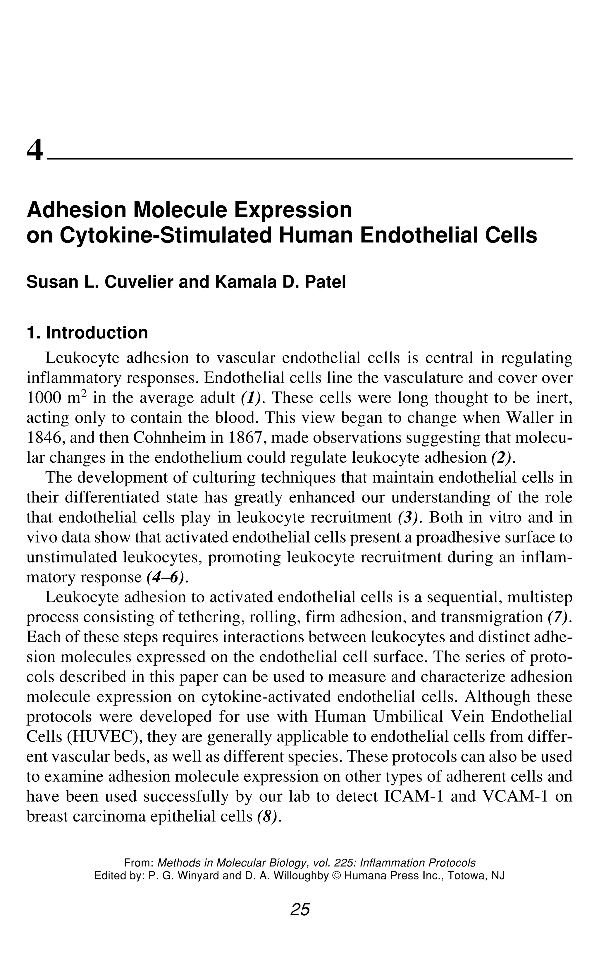 Adhesion Molecule Expression 25
4
Adhesion Molecule Expression
on Cytokine-Stimulated Human Endothelial Cells
Susan L. Cuvelier and Kamala D. Patel
25
From: Methods in Molecular Biology, vol. 225: Inflammation Protocols
Edited by: P. G. Winyard and D. A. Willoughby © Humana Press Inc., Totowa, NJ
1. Introduction
Leukocyte adhesion to vascular endothelial cells is central in regulating
inflammatory responses. Endothelial cells line the vasculature and cover over
1000 m2 in the average adult (1). These cells were long thought to be inert,
acting only to contain the blood. This view began to change when Waller in
1846, and then Cohnheim in 1867, made observations suggesting that molecu-
lar changes in the endothelium could regulate leukocyte adhesion (2).
The development of culturing techniques that maintain endothelial cells in
their differentiated state has greatly enhanced our understanding of the role
that endothelial cells play in leukocyte recruitment (3). Both in vitro and in
vivo data show that activated endothelial cells present a proadhesive surface to
unstimulated leukocytes, promoting leukocyte recruitment during an inflam-
matory response (4–6).
Leukocyte adhesion to activated endothelial cells is a sequential, multistep
process consisting of tethering, rolling, firm adhesion, and transmigration (7).
Each of these steps requires interactions between leukocytes and distinct adhe-
sion molecules expressed on the endothelial cell surface. The series of proto-
cols described in this paper can be used to measure and characterize adhesion
molecule expression on cytokine-activated endothelial cells. Although these
protocols were developed for use with Human Umbilical Vein Endothelial
Cells (HUVEC), they are generally applicable to endothelial cells from differ-
ent vascular beds, as well as different species. These protocols can also be used
to examine adhesion molecule expression on other types of adherent cells and
have been used successfully by our lab to detect ICAM-1 and VCAM-1 on
breast carcinoma epithelial cells (8).
 