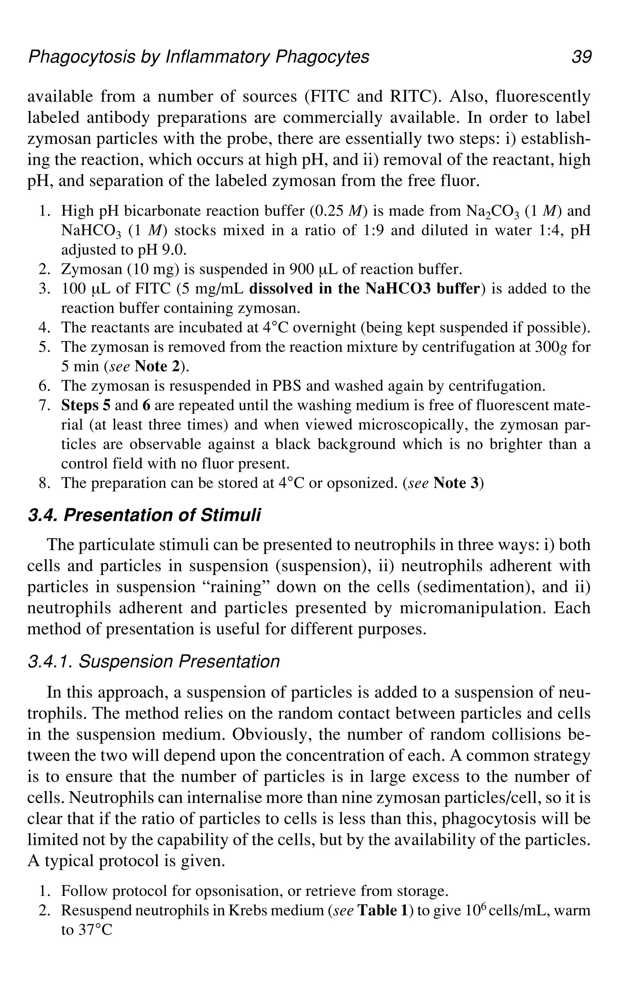 Phagocytosis by Inflammatory Phagocytes 39
available from a number of sources (FITC and RITC). Also, fluorescently
labeled antibody preparations are commercially available. In order to label
zymosan particles with the probe, there are essentially two steps: i) establish-
ing the reaction, which occurs at high pH, and ii) removal of the reactant, high
pH, and separation of the labeled zymosan from the free fluor.
1. High pH bicarbonate reaction buffer (0.25 M) is made from Na2CO3 (1 M) and
NaHCO3 (1 M) stocks mixed in a ratio of 1:9 and diluted in water 1:4, pH
adjusted to pH 9.0.
2. Zymosan (10 mg) is suspended in 900 μL of reaction buffer.
3. 100 μL of FITC (5 mg/mL dissolved in the NaHCO3 buffer) is added to the
reaction buffer containing zymosan.
4. The reactants are incubated at 4°C overnight (being kept suspended if possible).
5. The zymosan is removed from the reaction mixture by centrifugation at 300g for
5 min (see Note 2).
6. The zymosan is resuspended in PBS and washed again by centrifugation.
7. Steps 5 and 6 are repeated until the washing medium is free of fluorescent mate-
rial (at least three times) and when viewed microscopically, the zymosan par-
ticles are observable against a black background which is no brighter than a
control field with no fluor present.
8. The preparation can be stored at 4°C or opsonized. (see Note 3)
3.4. Presentation of Stimuli
The particulate stimuli can be presented to neutrophils in three ways: i) both
cells and particles in suspension (suspension), ii) neutrophils adherent with
particles in suspension “raining” down on the cells (sedimentation), and ii)
neutrophils adherent and particles presented by micromanipulation. Each
method of presentation is useful for different purposes.
3.4.1. Suspension Presentation
In this approach, a suspension of particles is added to a suspension of neu-
trophils. The method relies on the random contact between particles and cells
in the suspension medium. Obviously, the number of random collisions be-
tween the two will depend upon the concentration of each. A common strategy
is to ensure that the number of particles is in large excess to the number of
cells. Neutrophils can internalise more than nine zymosan particles/cell, so it is
clear that if the ratio of particles to cells is less than this, phagocytosis will be
limited not by the capability of the cells, but by the availability of the particles.
A typical protocol is given.
1. Follow protocol for opsonisation, or retrieve from storage.
2. Resuspend neutrophils in Krebs medium (see Table 1) to give 106 cells/mL, warm
to 37°C
 