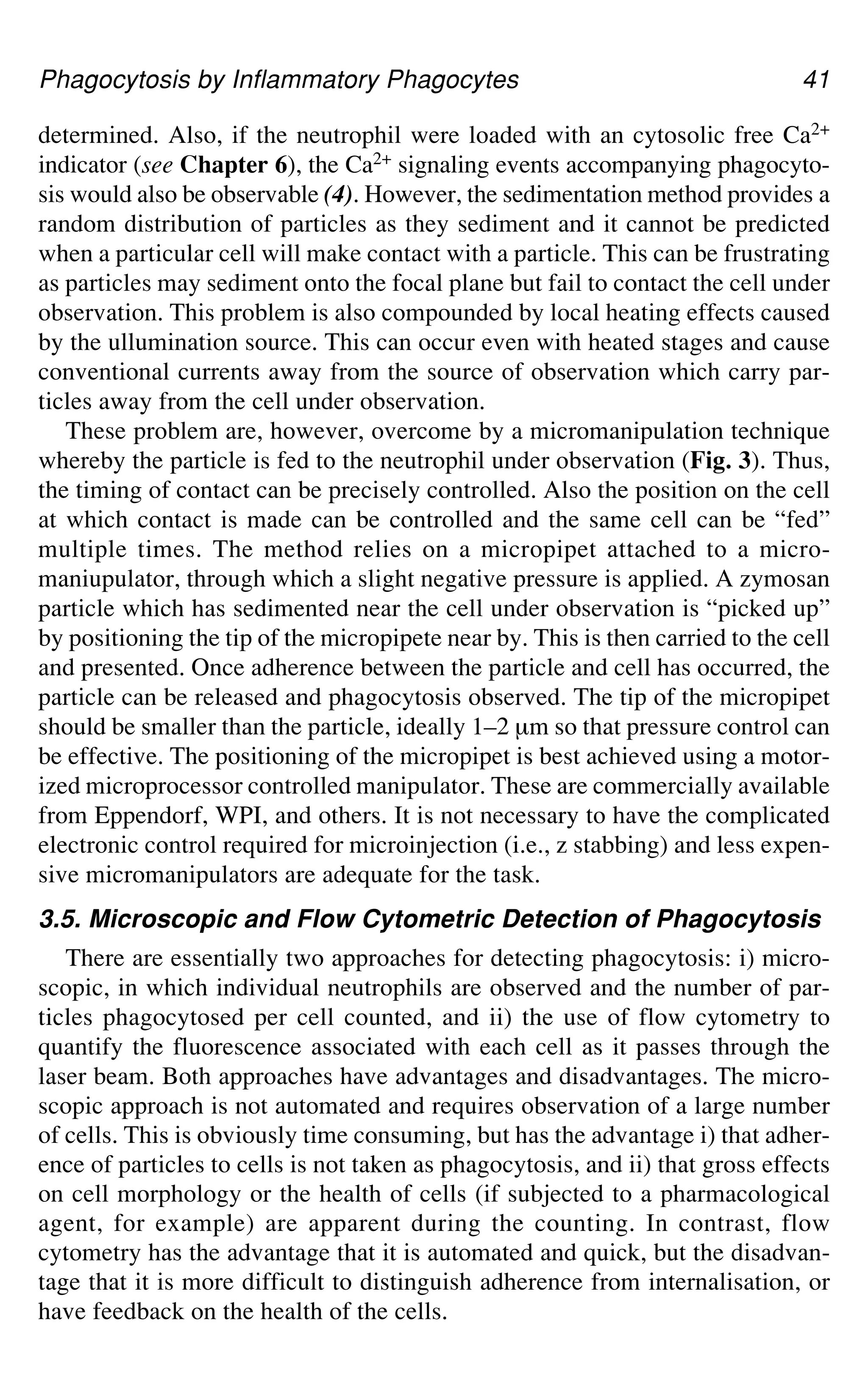 Phagocytosis by Inflammatory Phagocytes 41
determined. Also, if the neutrophil were loaded with an cytosolic free Ca2+
indicator (see Chapter 6), the Ca2+ signaling events accompanying phagocyto-
sis would also be observable (4). However, the sedimentation method provides a
random distribution of particles as they sediment and it cannot be predicted
when a particular cell will make contact with a particle. This can be frustrating
as particles may sediment onto the focal plane but fail to contact the cell under
observation. This problem is also compounded by local heating effects caused
by the ullumination source. This can occur even with heated stages and cause
conventional currents away from the source of observation which carry par-
ticles away from the cell under observation.
These problem are, however, overcome by a micromanipulation technique
whereby the particle is fed to the neutrophil under observation (Fig. 3). Thus,
the timing of contact can be precisely controlled. Also the position on the cell
at which contact is made can be controlled and the same cell can be “fed”
multiple times. The method relies on a micropipet attached to a micro-
maniupulator, through which a slight negative pressure is applied. A zymosan
particle which has sedimented near the cell under observation is “picked up”
by positioning the tip of the micropipete near by. This is then carried to the cell
and presented. Once adherence between the particle and cell has occurred, the
particle can be released and phagocytosis observed. The tip of the micropipet
should be smaller than the particle, ideally 1–2 μm so that pressure control can
be effective. The positioning of the micropipet is best achieved using a motor-
ized microprocessor controlled manipulator. These are commercially available
from Eppendorf, WPI, and others. It is not necessary to have the complicated
electronic control required for microinjection (i.e., z stabbing) and less expen-
sive micromanipulators are adequate for the task.
3.5. Microscopic and Flow Cytometric Detection of Phagocytosis
There are essentially two approaches for detecting phagocytosis: i) micro-
scopic, in which individual neutrophils are observed and the number of par-
ticles phagocytosed per cell counted, and ii) the use of flow cytometry to
quantify the fluorescence associated with each cell as it passes through the
laser beam. Both approaches have advantages and disadvantages. The micro-
scopic approach is not automated and requires observation of a large number
of cells. This is obviously time consuming, but has the advantage i) that adher-
ence of particles to cells is not taken as phagocytosis, and ii) that gross effects
on cell morphology or the health of cells (if subjected to a pharmacological
agent, for example) are apparent during the counting. In contrast, flow
cytometry has the advantage that it is automated and quick, but the disadvan-
tage that it is more difficult to distinguish adherence from internalisation, or
have feedback on the health of the cells.
 