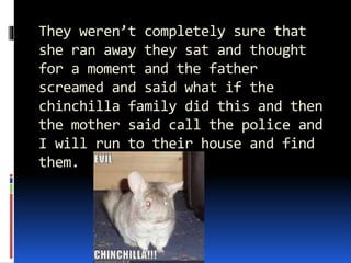 They weren’t completely sure that
she ran away they sat and thought
for a moment and the father
screamed and said what if the
chinchilla family did this and then
the mother said call the police and
I will run to their house and find
them.
 