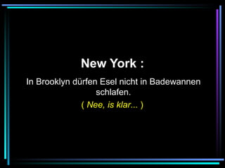   New York :   In Brooklyn dürfen Esel nicht in Badewannen schlafen. (  Nee, is klar ... )  