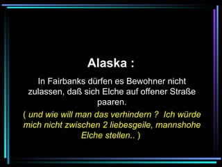   Alaska :   In Fairbanks dürfen es Bewohner nicht zulassen, daß sich Elche auf offener Straße paaren. (  und wie will man das verhindern ?  Ich würde mich nicht zwischen 2 liebesgeile, mannshohe Elche stellen .. )   