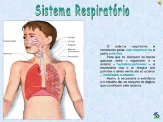 Sistema Respiratório O sistema respiratório é constituído pelas  vias respiratórias  e pelos  pulmões . Para que se efectuem as trocas gasosas entre o organismo e o exterior –  hematose pulmonar  –, é necessário que o ar chegue aos pulmões e deles venha até ao exterior –  ventilação pulmonar . Assim, é necessária a existência e o trabalho de um conjunto de órgãos que constituem este sistema. 