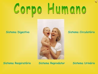 Corpo Humano Sistema Digestivo Sistema Respiratório Sistema Reprodutor Sistema Circulatório Sistema Urinário 
