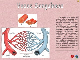 Vasos Sanguíneos Os vasos que saem do coração são as  artérias (A) , de paredes grossas e elásticas, que levam o sangue a todo o corpo. Estas subdividem-se em  arteríolas  e, posteriormente, em  capilares sanguíneos . Os capilares sanguíneos são muito finos e a sua parede é constituída por uma única camada de células. De seguida os capilares unem-se em  vénulas  e, seguidamente, em  veias (B) , que entram no coração, trazendo o sangue de todo o corpo e têm paredes mais finas que as artérias. Arteríola Artéria Capilares sanguíneos Veia Vénula 