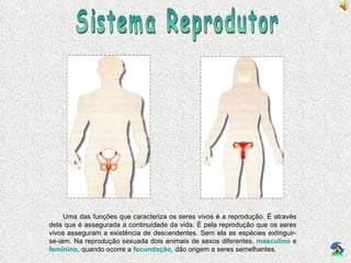 Sistema Reprodutor Uma das funções que caracteriza os seres vivos é a reprodução. É através dela que é assegurada a continuidade da vida. É pela reprodução que os seres vivos asseguram a existência de descendentes. Sem ela as espécies extinguir-se-iam. Na reprodução sexuada dois animais de sexos diferentes,  masculino  e  feminino , quando ocorre a  fecundação , dão origem a seres semelhantes. 