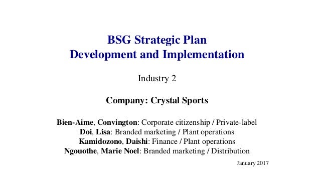bsg strategy