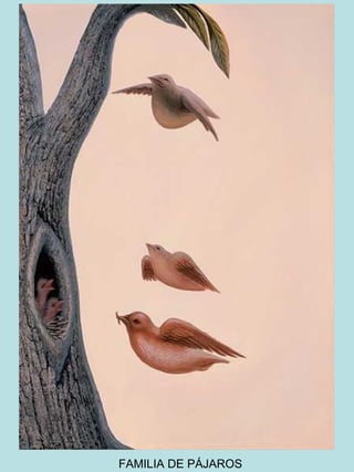 FAMILIA DE PÁJAROS

 