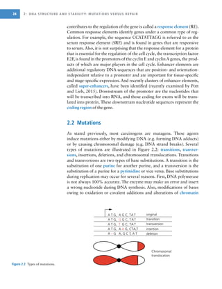 Molecular Biology Of Cancer Fourth Edition Lauren Pecorino | PDF