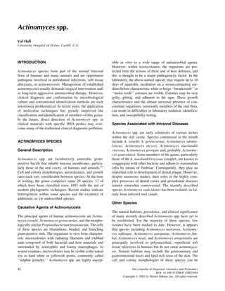 Schaalia Radingae Encyclopedia Of Medical Genomics And Proteomics Jurgen Fuchs Maurizio ...
