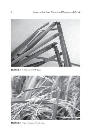 Diseases Of Field Crops Diagnosis And Management 2 Volume Set J N ...