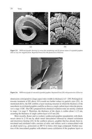 Recent Advances In Polymer Nanocomposites Sabu Thomas G E Zaikov S V ...