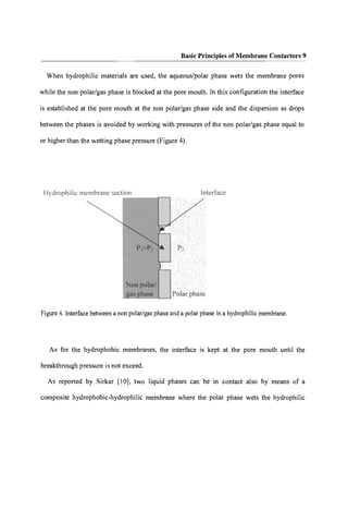Membrane Contactors Fundamentals Applications And Potentialities Enrico ...