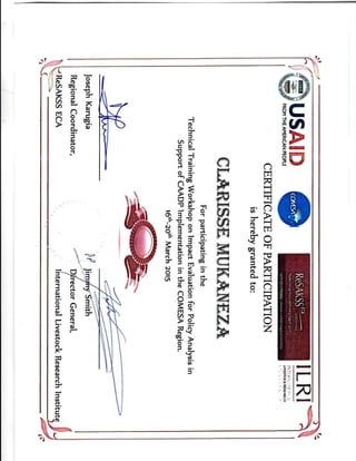 ReSAKSS Certificate.PDF